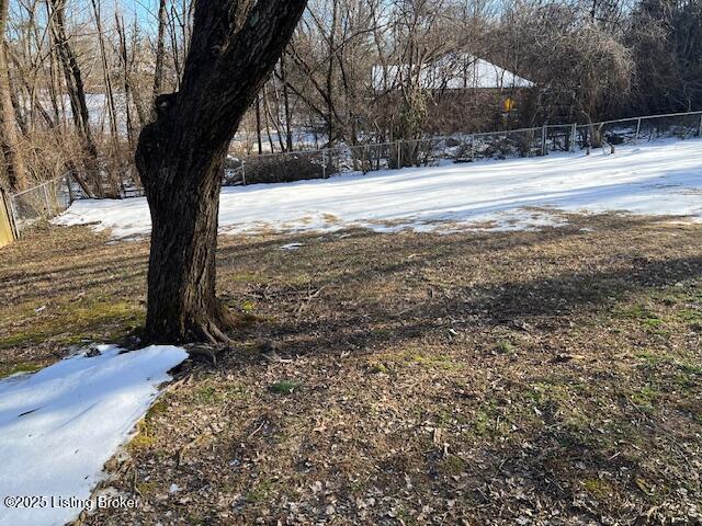 view of yard covered in snow