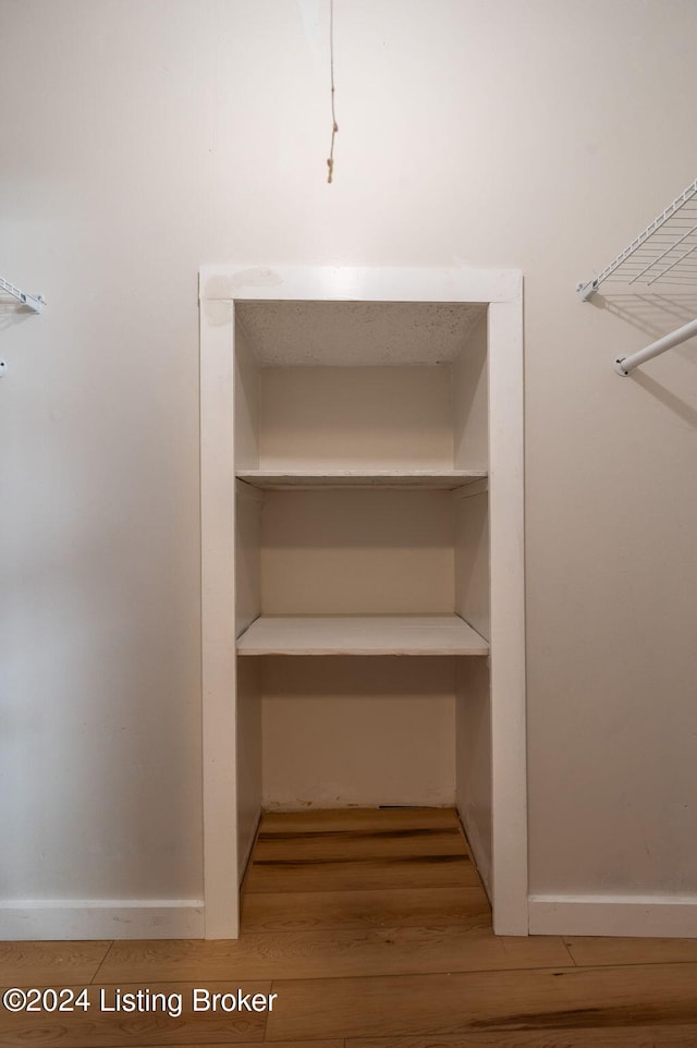 spacious closet with light wood-type flooring