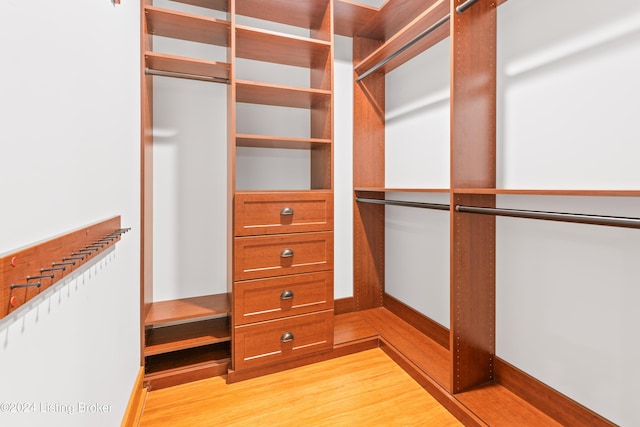 spacious closet with light hardwood / wood-style flooring