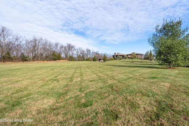 view of yard with a rural view