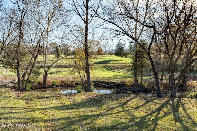 view of yard with a water view