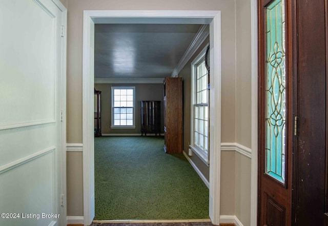 interior space with carpet flooring and ornamental molding