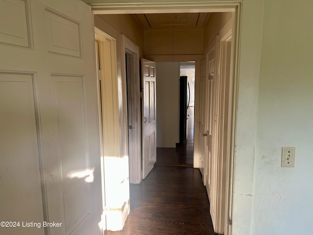 hallway featuring dark wood-type flooring