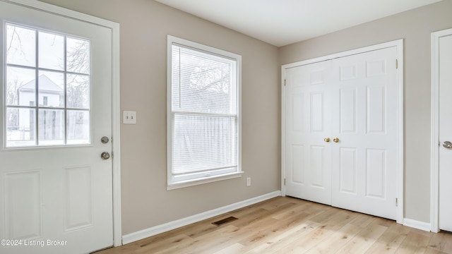 doorway to outside featuring light hardwood / wood-style floors and a healthy amount of sunlight