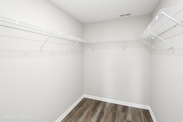 spacious closet featuring dark hardwood / wood-style floors