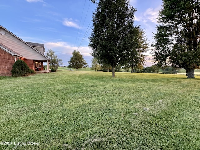 view of yard