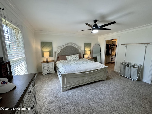 bedroom featuring ceiling fan, crown molding, a spacious closet, carpet floors, and a closet