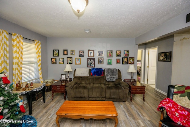 living room featuring wood-type flooring and a textured ceiling