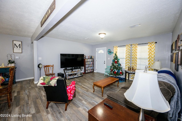 living room with a textured ceiling and hardwood / wood-style flooring