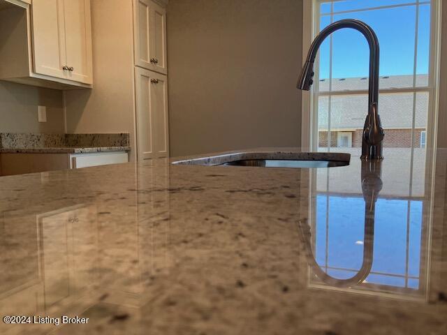 details featuring light stone countertops, white cabinets, and sink