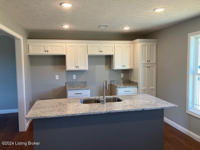 kitchen with sink, dark wood-type flooring, light stone counters, an island with sink, and white cabinets