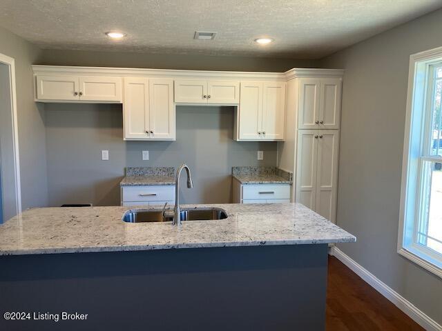 kitchen with white cabinets, a center island with sink, plenty of natural light, and sink