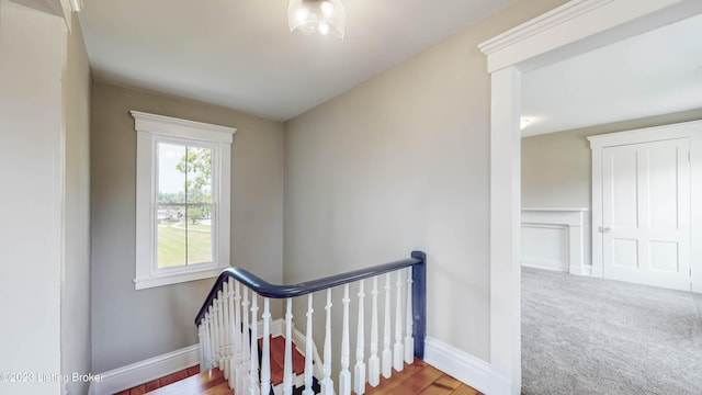 stairs with carpet flooring