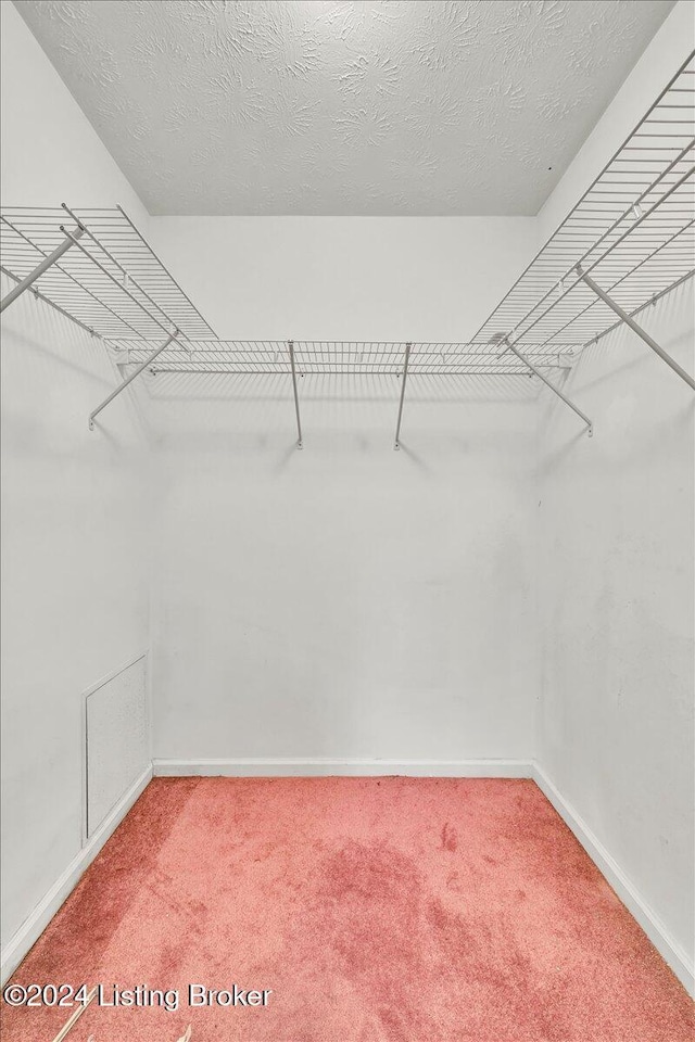 walk in closet with carpet flooring