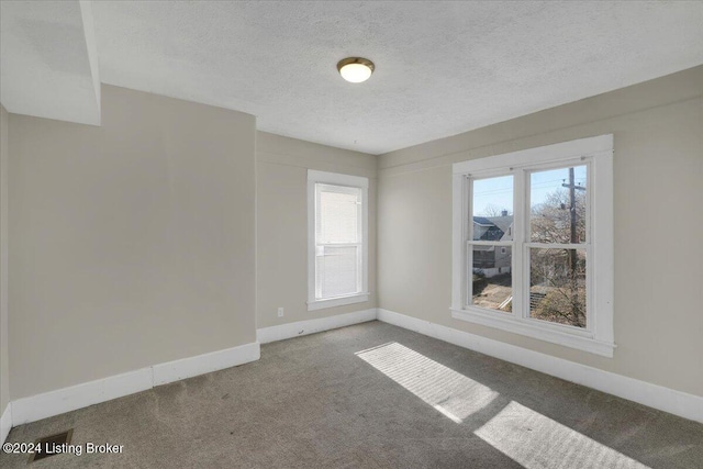 unfurnished room with a wealth of natural light, carpet floors, and a textured ceiling