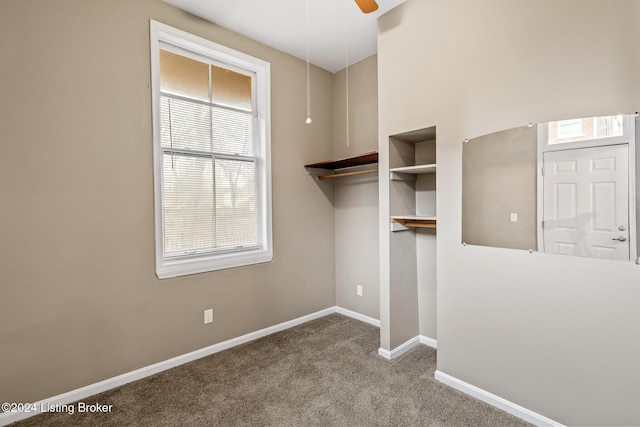 spacious closet with carpet and ceiling fan