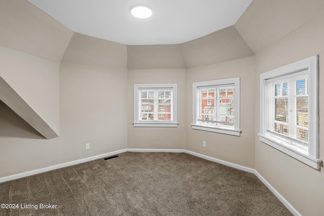 spare room with carpet floors and lofted ceiling