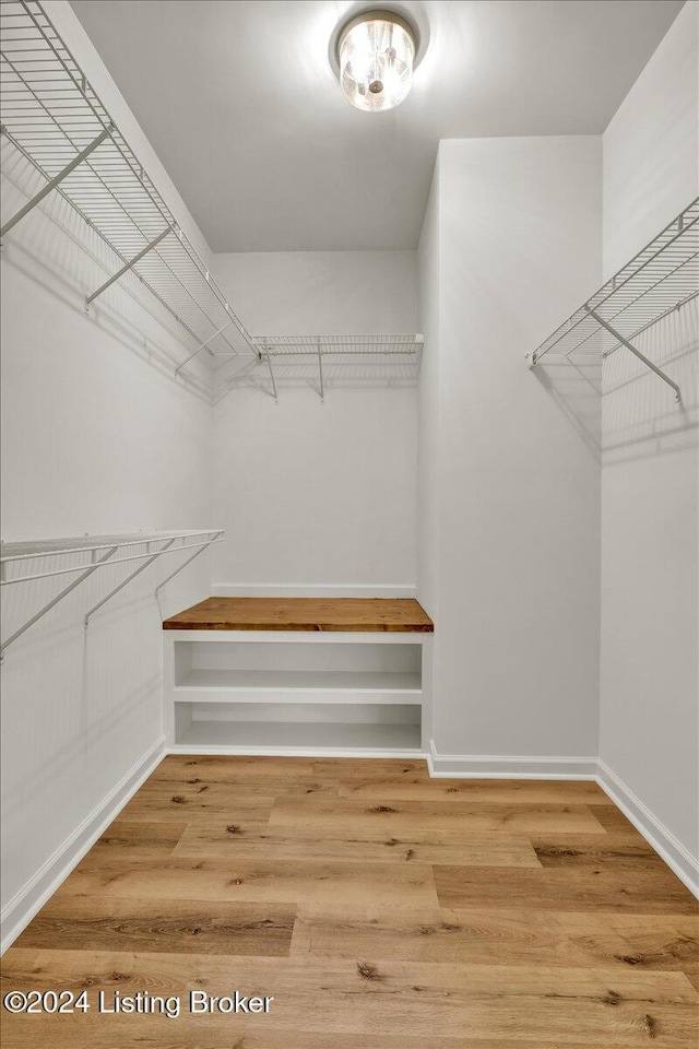 spacious closet featuring wood-type flooring