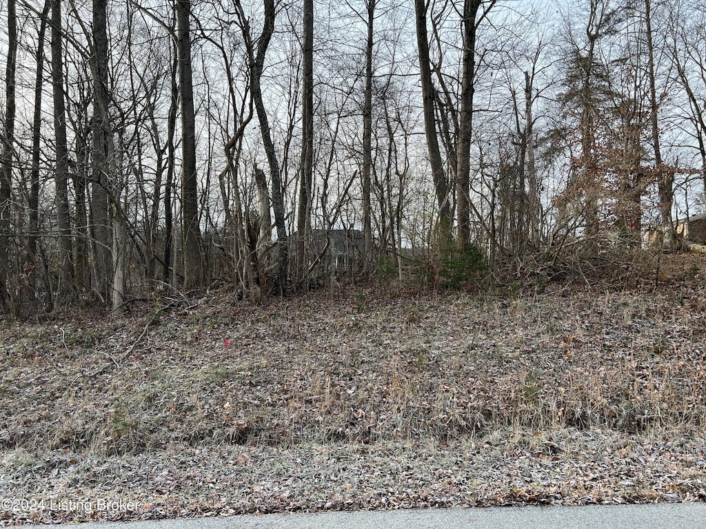 13 Pleasant View Ct, Shepherdsville, KY 40165 - photo 1