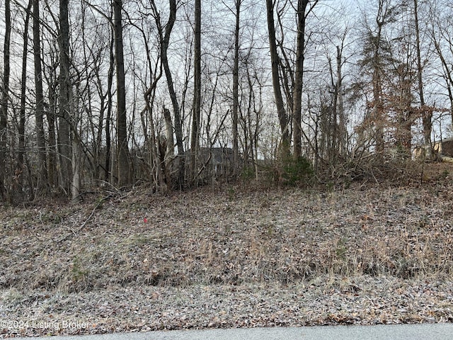 13 Pleasant View Ct, Shepherdsville, KY 40165 - photo 1