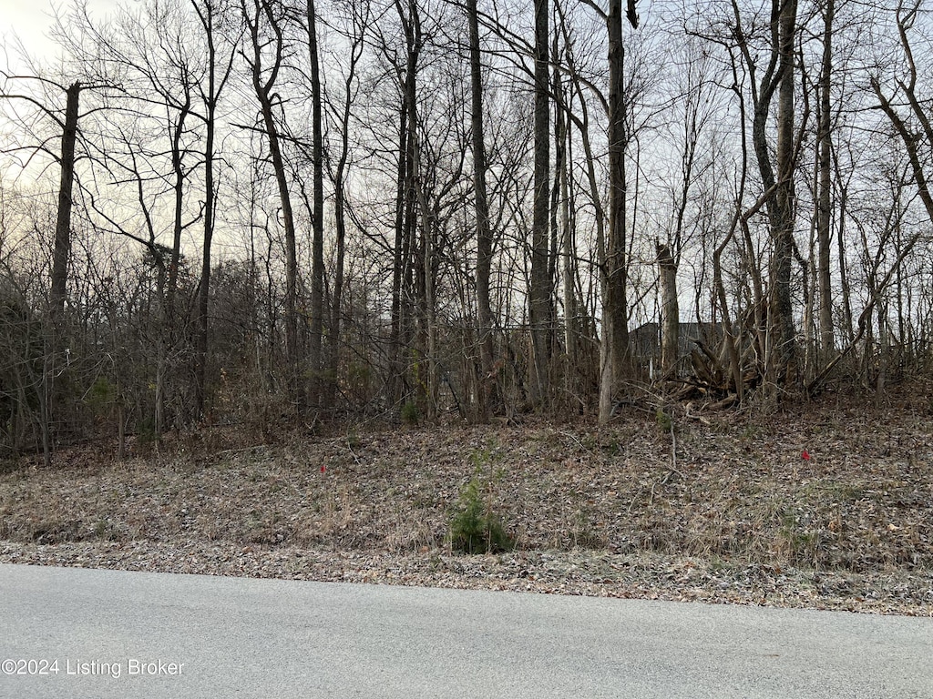 13 Pleasant View Ct, Shepherdsville, KY 40165 - photo 3
