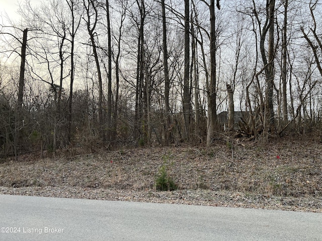 13 Pleasant View Ct, Shepherdsville, KY 40165 - photo 3