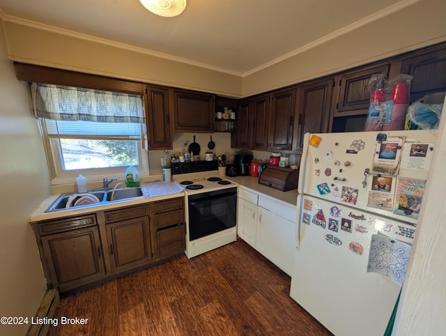 kitchen with white appliances, sink, ornamental molding, dark hardwood / wood-style flooring, and dark brown cabinetry