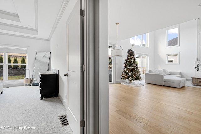 interior space with light wood-type flooring, a wealth of natural light, and crown molding