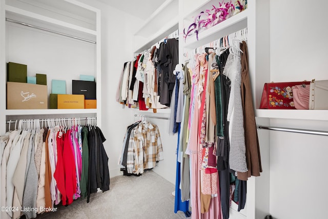 walk in closet with carpet floors