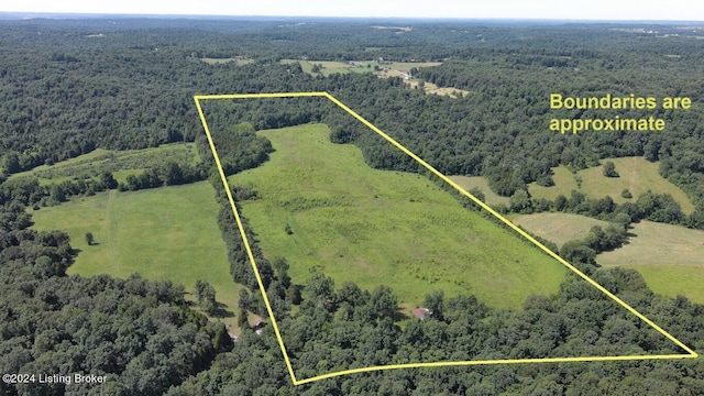 310 Alvie Rd, Payneville KY, 40157 land for sale