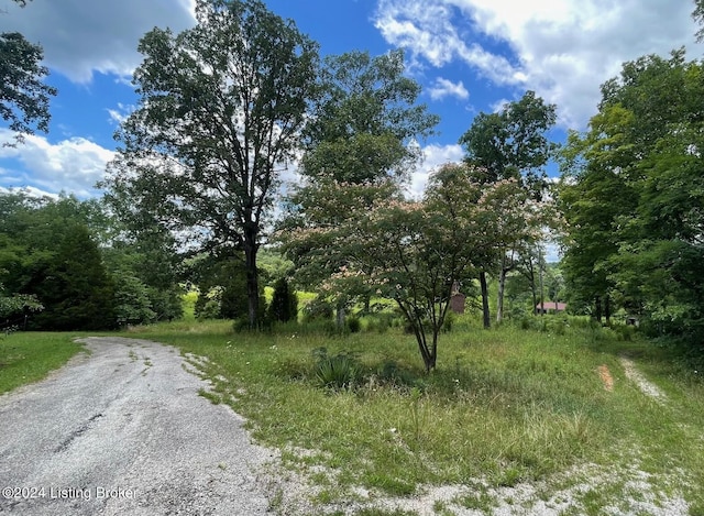 310 Alvie Rd, Payneville, KY 40157