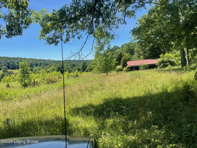 310 Alvie Rd, Payneville, KY 40157