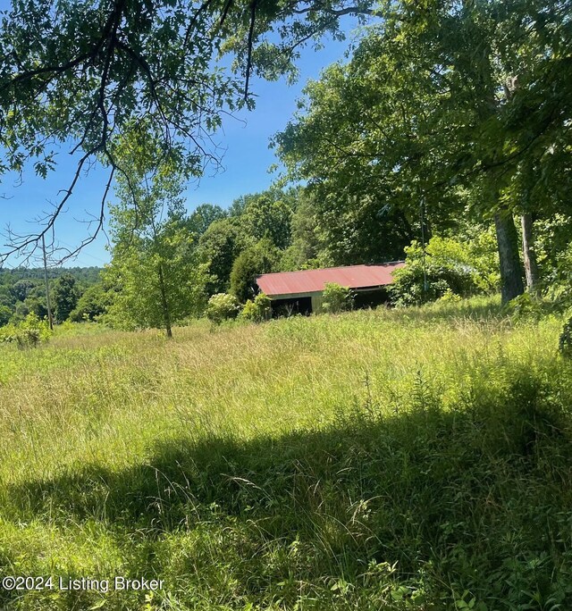 310 Alvie Rd, Payneville, KY 40157