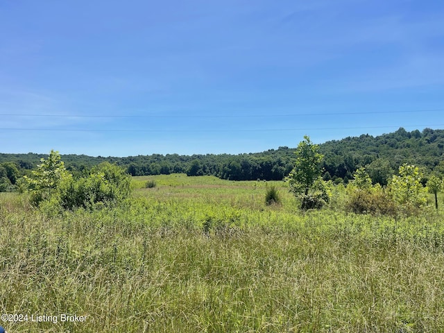 310 Alvie Rd, Payneville, KY 40157
