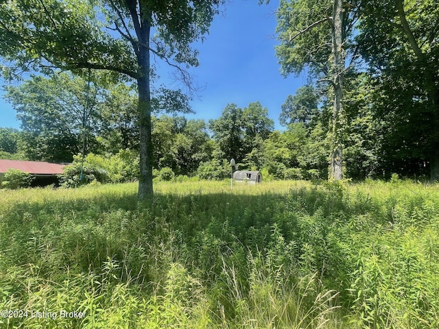 310 Alvie Rd, Payneville, KY 40157