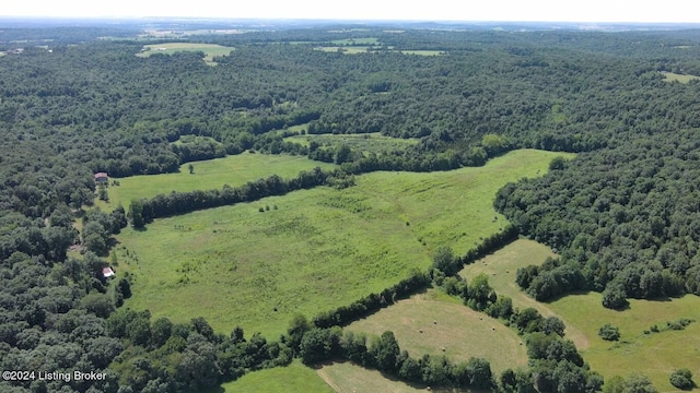 310 Alvie Rd, Payneville, KY 40157