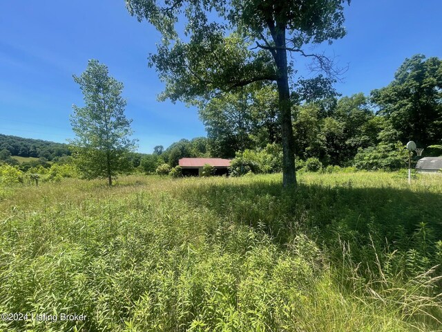 310 Alvie Rd, Payneville, KY 40157
