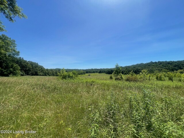 310 Alvie Rd, Payneville, KY 40157