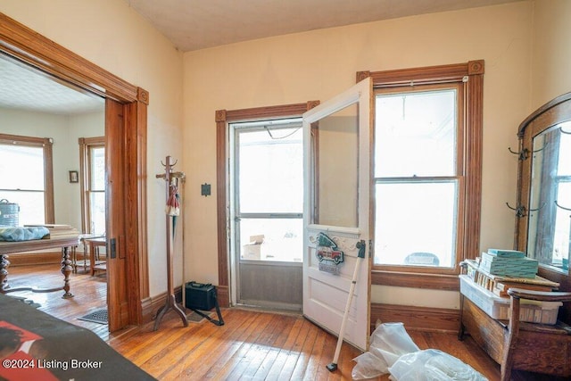 entryway with a wealth of natural light and light hardwood / wood-style flooring