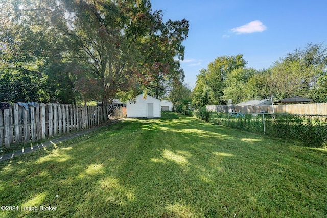 view of yard with a shed