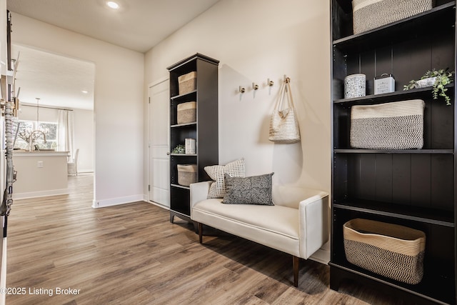 mudroom featuring wood-type flooring