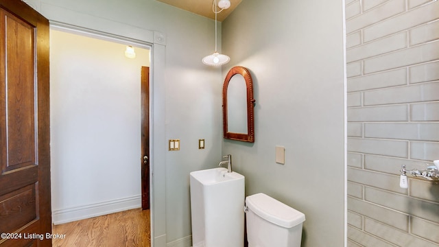 bathroom with toilet and wood-type flooring