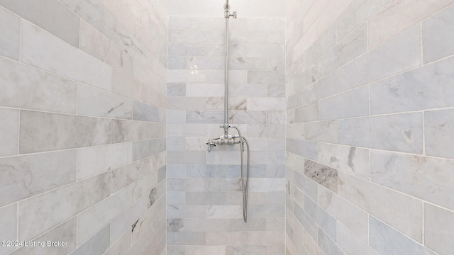 interior details with tiled shower