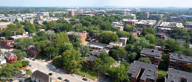 bird's eye view