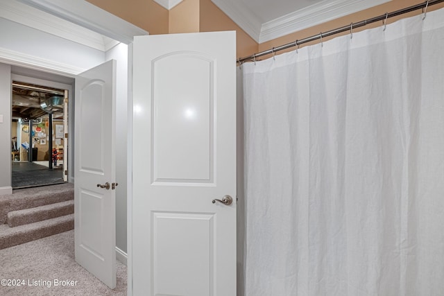 bathroom featuring ornamental molding