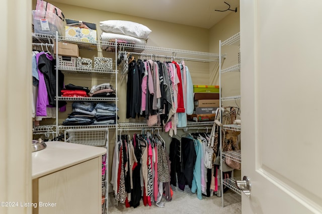 spacious closet featuring carpet floors