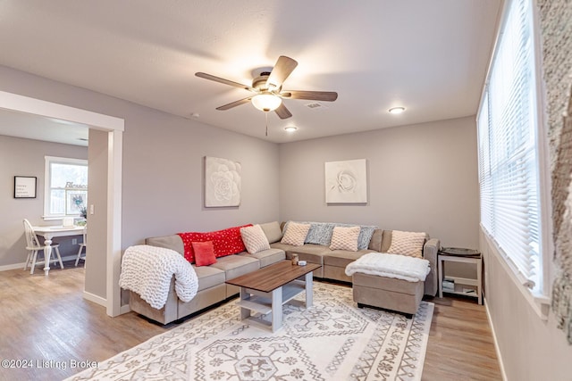 living room with ceiling fan and light hardwood / wood-style flooring