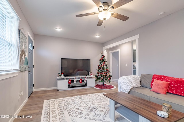 living room with light hardwood / wood-style floors and ceiling fan