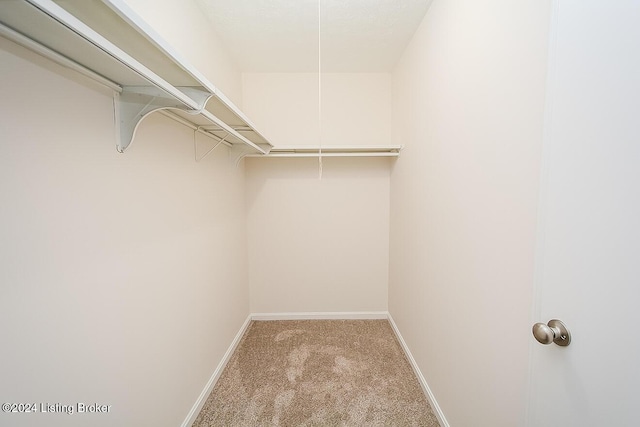 spacious closet with light colored carpet