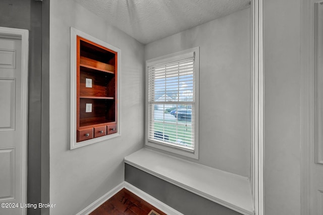 mudroom with plenty of natural light, a textured ceiling, and hardwood / wood-style flooring